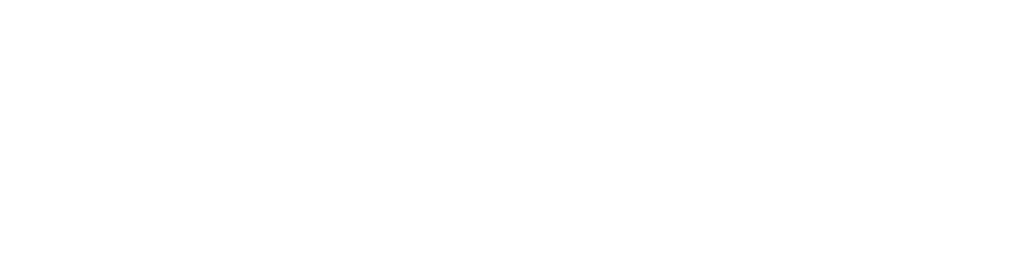 Oporto Group